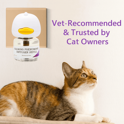 Calm Anxious Cats and Reclaim Your Peaceful Home with ZenPaws™